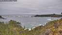 ./images/calvert/foggy-cove/20260518/foggy-cove20260518_132001M.jpg