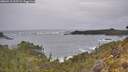 ./images/calvert/foggy-cove/20260518/foggy-cove20260518_132501M.jpg