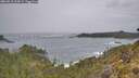 ./images/calvert/foggy-cove/20260518/foggy-cove20260518_133001M.jpg