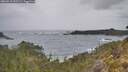./images/calvert/foggy-cove/20260518/foggy-cove20260518_133502M.jpg
