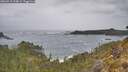 ./images/calvert/foggy-cove/20260518/foggy-cove20260518_134001M.jpg