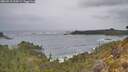 ./images/calvert/foggy-cove/20260518/foggy-cove20260518_134501M.jpg