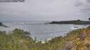 ./images/calvert/foggy-cove/20260518/foggy-cove20260518_135001M.jpg