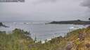 ./images/calvert/foggy-cove/20260518/foggy-cove20260518_135501M.jpg