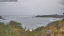 ./images/calvert/foggy-cove/20260518/foggy-cove20260518_140001M.jpg