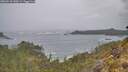 ./images/calvert/foggy-cove/20260518/foggy-cove20260518_140501M.jpg