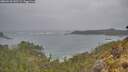 ./images/calvert/foggy-cove/20260518/foggy-cove20260518_142501M.jpg