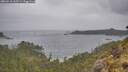 ./images/calvert/foggy-cove/20260518/foggy-cove20260518_143501M.jpg