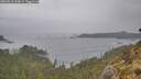 ./images/calvert/foggy-cove/20260518/foggy-cove20260518_144501M.jpg