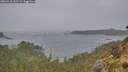 ./images/calvert/foggy-cove/20260518/foggy-cove20260518_145501M.jpg