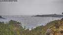 ./images/calvert/foggy-cove/20260518/foggy-cove20260518_150501M.jpg