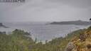 ./images/calvert/foggy-cove/20260518/foggy-cove20260518_151001M.jpg