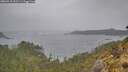 ./images/calvert/foggy-cove/20260518/foggy-cove20260518_151501M.jpg