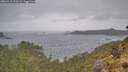 ./images/calvert/foggy-cove/20260518/foggy-cove20260518_153501M.jpg