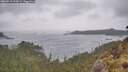./images/calvert/foggy-cove/20260518/foggy-cove20260518_154001M.jpg