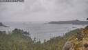 ./images/calvert/foggy-cove/20260518/foggy-cove20260518_154501M.jpg