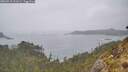 ./images/calvert/foggy-cove/20260518/foggy-cove20260518_161001M.jpg