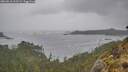 ./images/calvert/foggy-cove/20260518/foggy-cove20260518_162502M.jpg