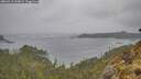 ./images/calvert/foggy-cove/20260518/foggy-cove20260518_163001M.jpg