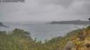 ./images/calvert/foggy-cove/20260518/foggy-cove20260518_163501M.jpg