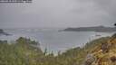 ./images/calvert/foggy-cove/20260518/foggy-cove20260518_165501M.jpg