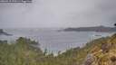 ./images/calvert/foggy-cove/20260518/foggy-cove20260518_170501M.jpg