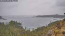 ./images/calvert/foggy-cove/20260518/foggy-cove20260518_171002M.jpg