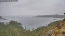 ./images/calvert/foggy-cove/20260518/foggy-cove20260518_173002M.jpg