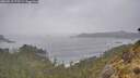 ./images/calvert/foggy-cove/20260518/foggy-cove20260518_173501M.jpg