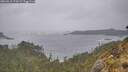 ./images/calvert/foggy-cove/20260518/foggy-cove20260518_175501M.jpg