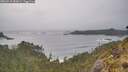 ./images/calvert/foggy-cove/20260518/foggy-cove20260518_182002M.jpg
