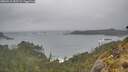 ./images/calvert/foggy-cove/20260518/foggy-cove20260518_182502M.jpg