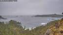 ./images/calvert/foggy-cove/20260518/foggy-cove20260518_193501M.jpg