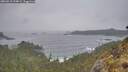 ./images/calvert/foggy-cove/20260518/foggy-cove20260518_194001M.jpg