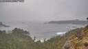 ./images/calvert/foggy-cove/20260518/foggy-cove20260518_194501M.jpg