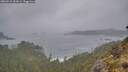 ./images/calvert/foggy-cove/20260518/foggy-cove20260518_201001M.jpg