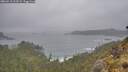 ./images/calvert/foggy-cove/20260518/foggy-cove20260518_202501M.jpg
