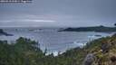 ./images/calvert/foggy-cove/20260518/foggy-cove20260518_213001M.jpg