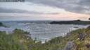 ./images/calvert/foggy-cove/20260519/foggy-cove20260519_053501M.jpg