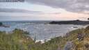 ./images/calvert/foggy-cove/20260519/foggy-cove20260519_054001M.jpg