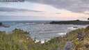 ./images/calvert/foggy-cove/20260519/foggy-cove20260519_054501M.jpg