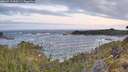 ./images/calvert/foggy-cove/20260519/foggy-cove20260519_055501M.jpg