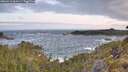 ./images/calvert/foggy-cove/20260519/foggy-cove20260519_061001M.jpg