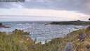 ./images/calvert/foggy-cove/20260519/foggy-cove20260519_061501M.jpg