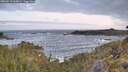 ./images/calvert/foggy-cove/20260519/foggy-cove20260519_062001M.jpg