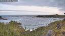 ./images/calvert/foggy-cove/20260519/foggy-cove20260519_063001M.jpg