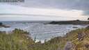 ./images/calvert/foggy-cove/20260519/foggy-cove20260519_063501M.jpg