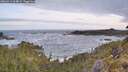 ./images/calvert/foggy-cove/20260519/foggy-cove20260519_064001M.jpg