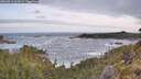 ./images/calvert/foggy-cove/20260519/foggy-cove20260519_064501M.jpg