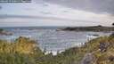 ./images/calvert/foggy-cove/20260519/foggy-cove20260519_065001M.jpg